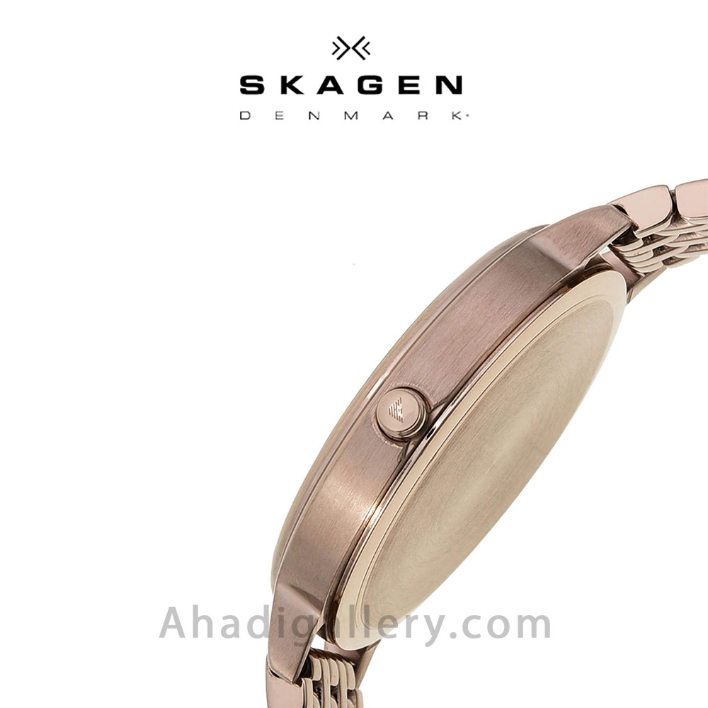 Skagen skw2650 2024